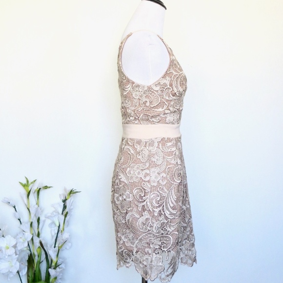 NEW! Dress the Population Ava Dress Champagne Nude Floral Lace V-Neck SZ XS - Picture 5 of 11